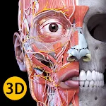 Anatomy 3D Atlas | Indus Appstore | App Icon