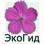 EcoGuide: Russian Wild Flowers | Indus Appstore | App Icon