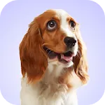 Dog Whining Sounds | Indus Appstore | App Icon