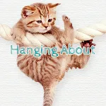 Cat Wallpaper Hanging About | Indus Appstore | App Icon