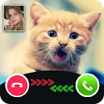 cat call you - fake video call | Indus Appstore | App Icon