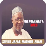 Sheikh Jafar - Gwagwarmaya MP3 | Indus Appstore | App Icon