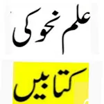 ilm e Nahw in Urdu_علم نحو | Indus Appstore | App Icon