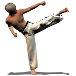 Taekwondo Forms (Sponsored)app icon