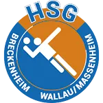 HSG Breckenheim Wallau/Massenh | Indus Appstore | App Icon