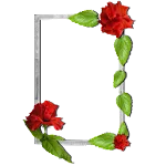 Floral photo Framesapp icon