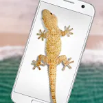 Lizard in phone funny joke | Indus Appstore | App Icon