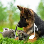 Cat & Dog Sounds – Pet sounds | Indus Appstore | App Icon