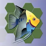 Block Hexa - Underwater Jigsaw | Indus Appstore | App Icon