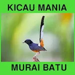 Suara Kicau Murai Batu Offline | Indus Appstore | App Icon