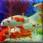 Aquarium Live Wallpaper | Indus Appstore | App Icon