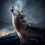 Wolf Sounds | Indus Appstore | App Icon