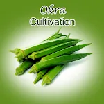 Okra Cultivation IIHR | Indus Appstore | App Icon