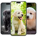 Puppy Wallpaper | Indus Appstore | App Icon