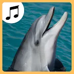 Sea Animal Sounds. | Indus Appstore | App Icon