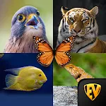 Zoology: Animal Kingdom Study | Indus Appstore | App Icon