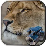 Hidden Animals: Photo Hunt | Indus Appstore | App Icon