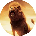 Lion Wallpaper | Indus Appstore | App Icon