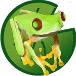 Tina, the jumping frog | Indus Appstore | App Icon