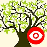 Family Tree Explorer Viewer | Indus Appstore | App Icon