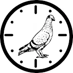 Pigeon Velocity Calculator | Indus Appstore | App Icon