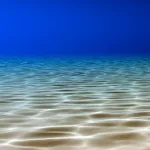 Under the Sea Live Wallpaper | Indus Appstore | App Icon