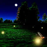 Fireflies Live Wallpaper | Indus Appstore | App Icon