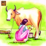Story Of Milk A Cow's Tale(hi) | Indus Appstore | App Icon