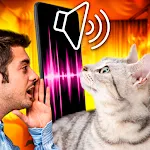 Cat Translator - translate cat | Indus Appstore | App Icon