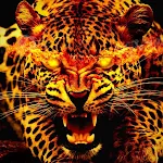 Tiger and Lion Wallpapers | Indus Appstore | App Icon