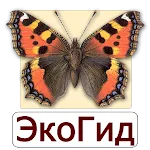 EcoGuide: Russian Butterflies | Indus Appstore | App Icon