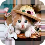 Cute kittens wallpapers | Indus Appstore | App Icon