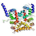 Human proteins | Indus Appstore | App Icon