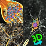 3D Biology + | Indus Appstore | App Icon