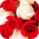 Roses Stickers for WhatsApp | Indus Appstore | App Icon