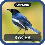 masteran kacer juara full isi | Indus Appstore | App Icon