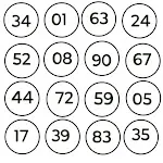 Housie Numbers 1 to 90 | Indus Appstore | App Icon