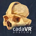 cadaVR anatomy | Indus Appstore | App Icon