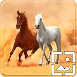 Horses Wallpapers Hd | Indus Appstore | App Icon