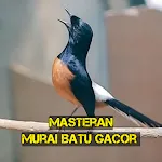 Masteran Murai Batu Gacor | Indus Appstore | App Icon