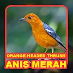 Suara Burung Anis Merah | Indus Appstore | App Icon