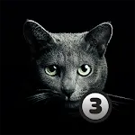 Find A Cat 3 | Indus Appstore | App Icon