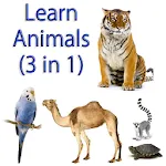 Learn Animal names (3  in 1) | Indus Appstore | App Icon