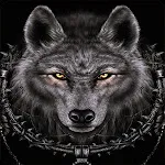 Wolf Wallpaper-OFFLINE | Indus Appstore | App Icon