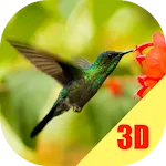 Birds Flying Live Wallpaper | Indus Appstore | App Icon