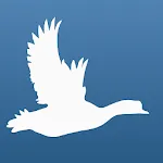 Little Bird Quiz: Aves Europe | Indus Appstore | App Icon