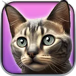 My Kitten : Virtual Pet | Indus Appstore | App Icon