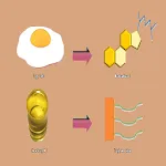 Triglycerides | Indus Appstore | App Icon