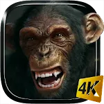 Talking Monkey Live Wallpaper | Indus Appstore | App Icon