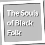 Book, The Souls of Black Folk | Indus Appstore | App Icon